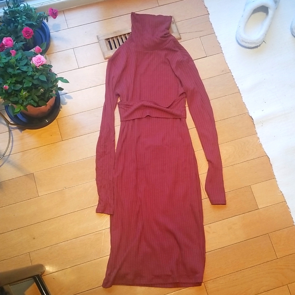 Turtle Neck Maroon Long Sleeves Ribbed Dress